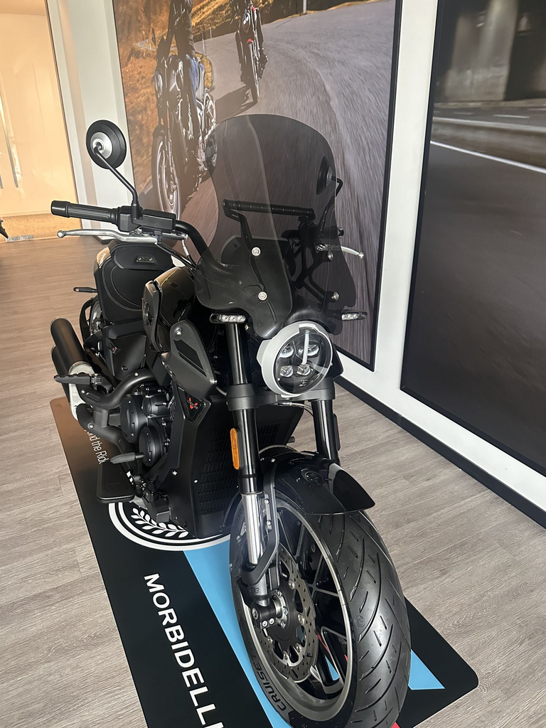 C1002V WINDSHIELD.webp